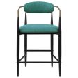 Tina Metal Counter Height Bar Stool with Upholstered Back and Seat Sale