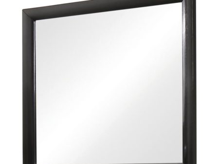 Briana Rectangle Dresser Mirror Black Cheap