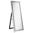 Seraphina 24 x 64 Inch Acrylic Framed Standing Mirror Silver Online