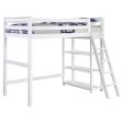 Anica 3-shelf Wood Twin Loft Bed White Online Sale