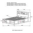 Phoenix 10-drawer Bed Deep Cappuccino Fashion