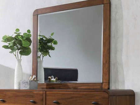 Robyn Rectangular Dresser Mirror Dark Walnut For Sale