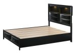 Fallon Black LED Storage Platform Bed Sale