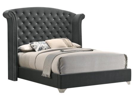 Melody Wingback Upholstered Bed Grey For Sale