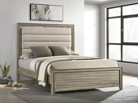 Giselle Wood Queen Panel Bed Rustic Beige Online Sale