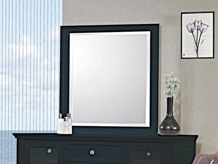 Sandy Beach Vertical Dresser Mirror Black Online Hot Sale