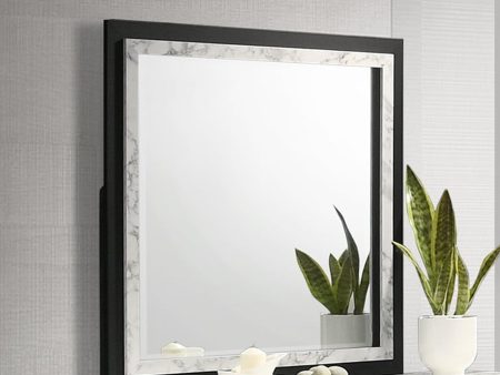 Rangley Contemporary Dresser Mirror For Sale