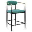 Tina Metal Counter Height Bar Stool with Upholstered Back and Seat Sale