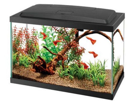 Aquarium Starter Kit with LED Lighting 1 Count by Aqueon Hot on Sale